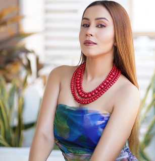 NOZA SHEIKH Has Worked In Advertisements Of Many Companies Like Tanix, Titan, Max Etc.